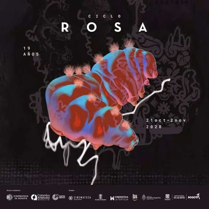  Ciclo Rosa 2020 [BOGOTA][MEDELLIN][CALI] 