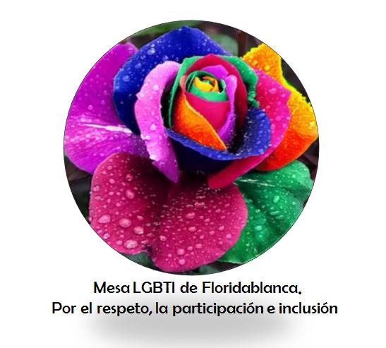  Mesa LGBTI Floridablanca [FLORIDABLANCA] 