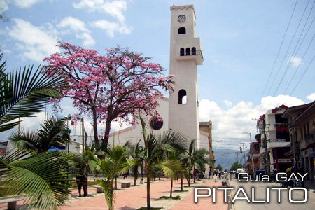  Pitalito (Huila) 