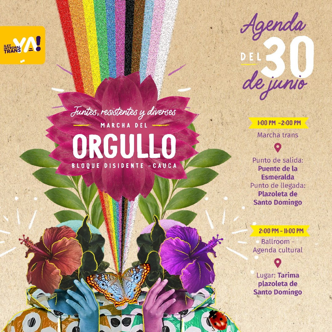 Marcha Del Orgullo Bloque Disidente Cauca 2023