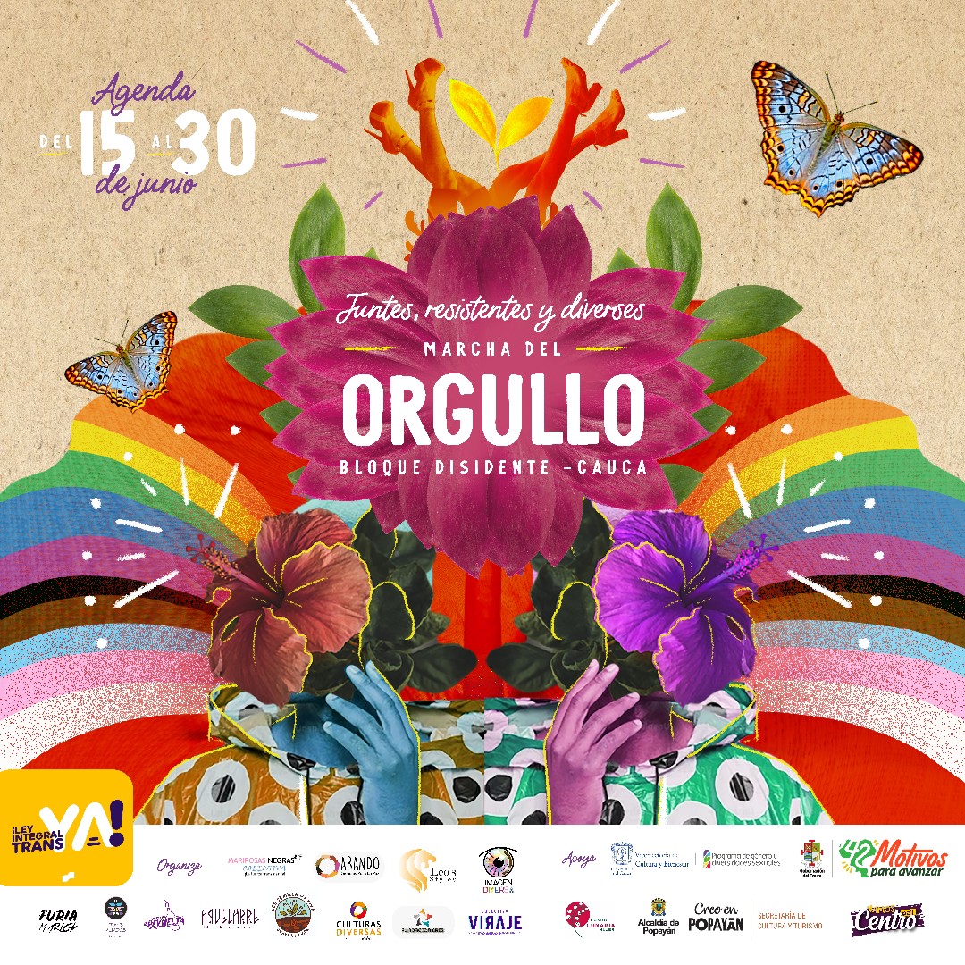 Marcha Del Orgullo Bloque Disidente Cauca 2023