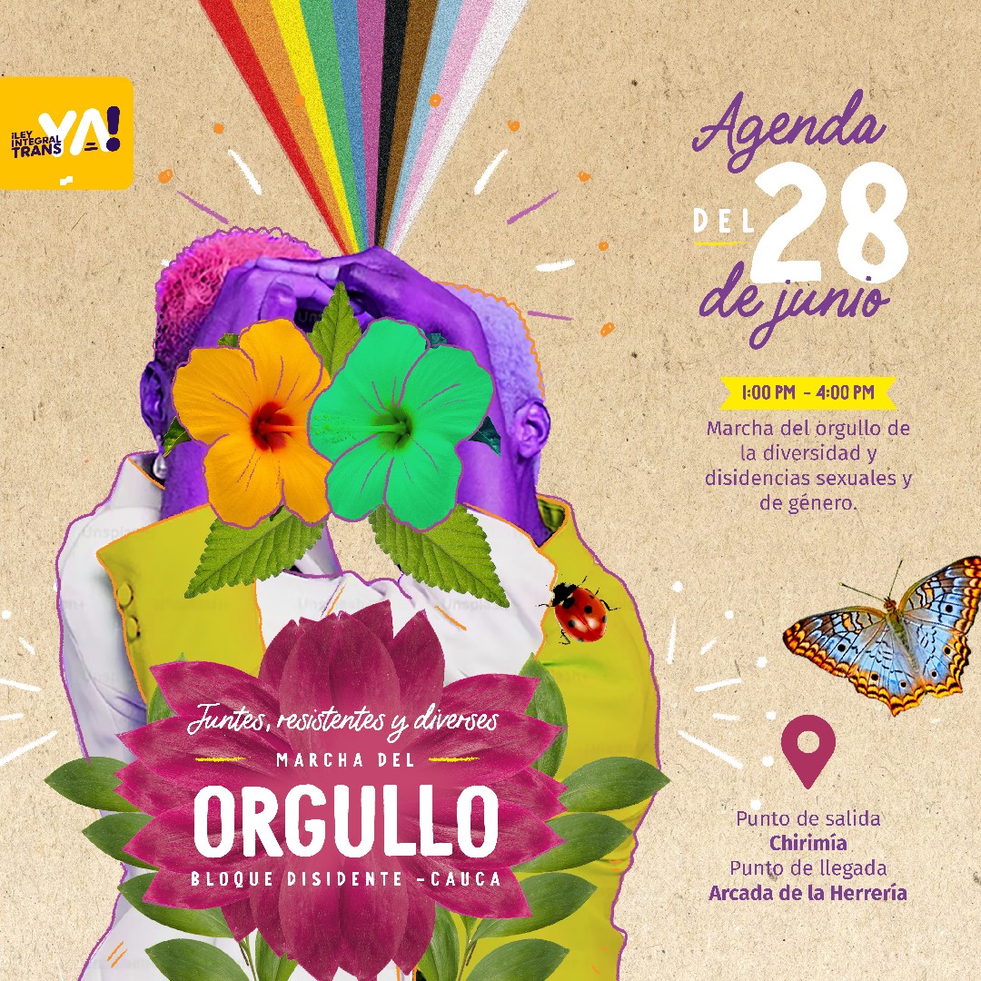 Marcha Del Orgullo Bloque Disidente Cauca 2023