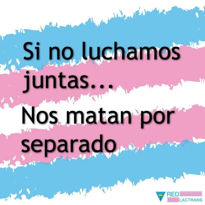 YOMARCHOTRANS